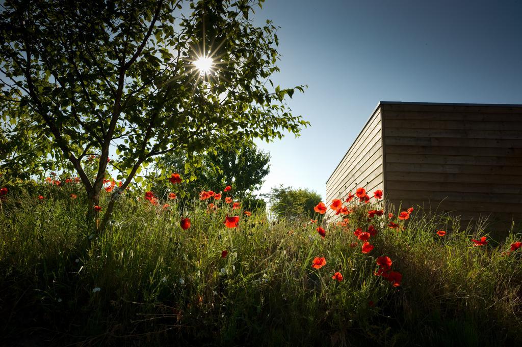 Ecolodge Le Bruit De L'Eau Saint-Quentin-en-Tourmont Buitenkant foto